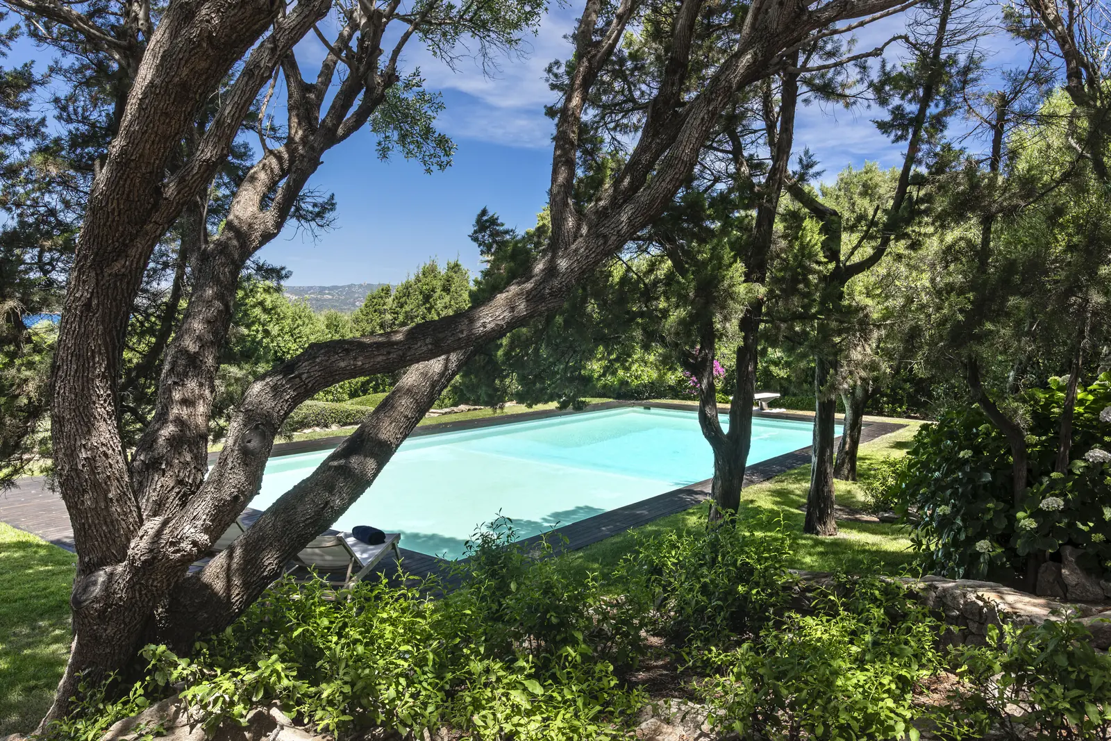 La piscina vista attraverso i pini marittimi del giardino